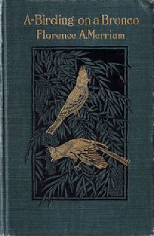 [Gutenberg 33410] • A-Birding on a Bronco